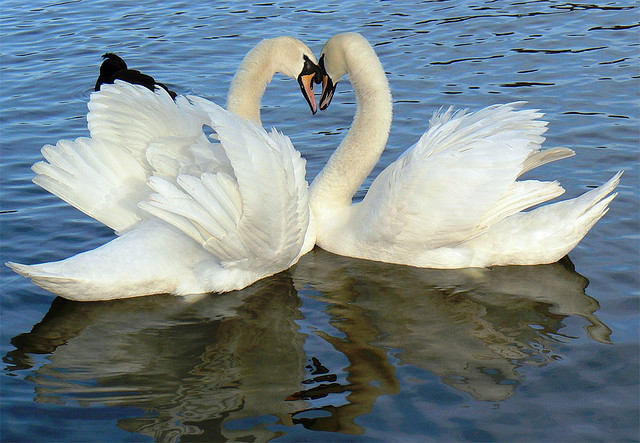 You Need Romance In Your Startup