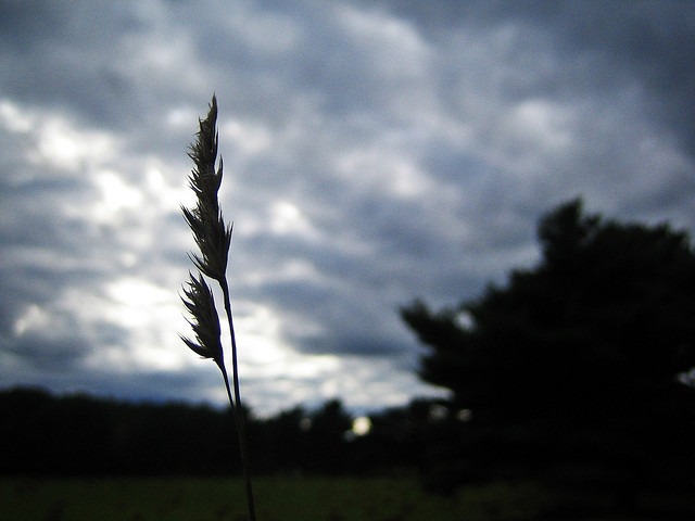 45289288_d2be17b603_z