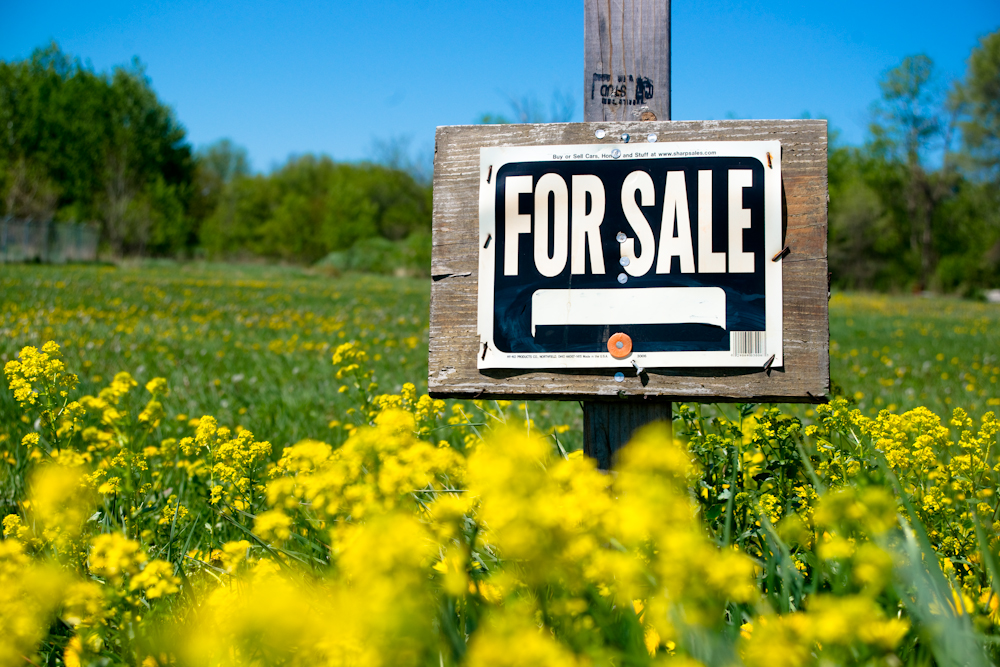 Ask the Expert: How to Price Your Company Acquisition and Find a Buyer