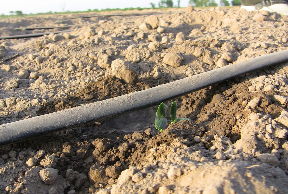 Social Impact Investing: A Primer