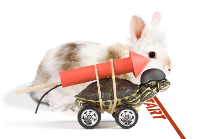 Slow-and-Steady-Wins-the-Race