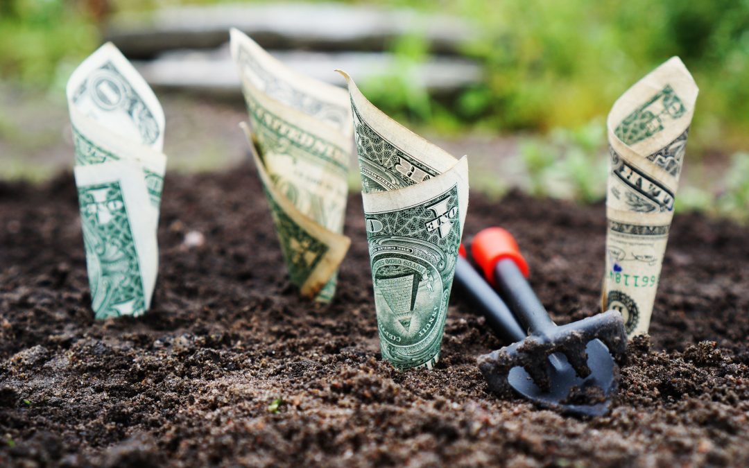 3 Ways to Use Crowdfunding to Grow Your Business