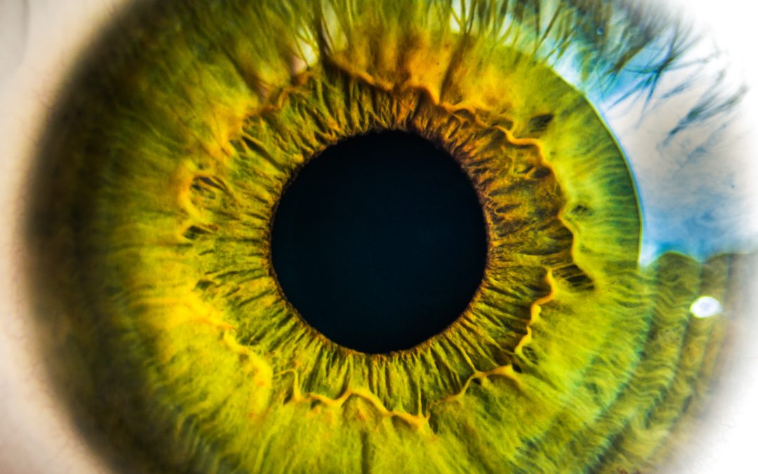 From Upside’s Head of Security: How to Spot Real Pinch Hitters for Your Security Team