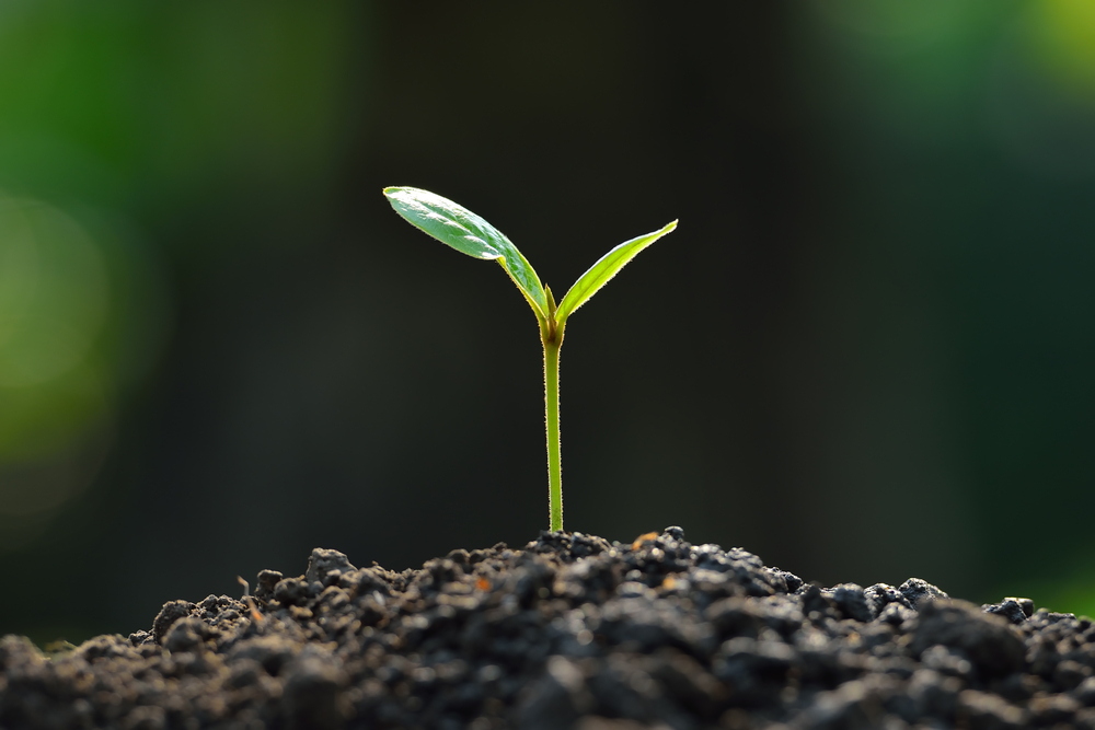 5 Startup Lessons for Fast-Growing Companies