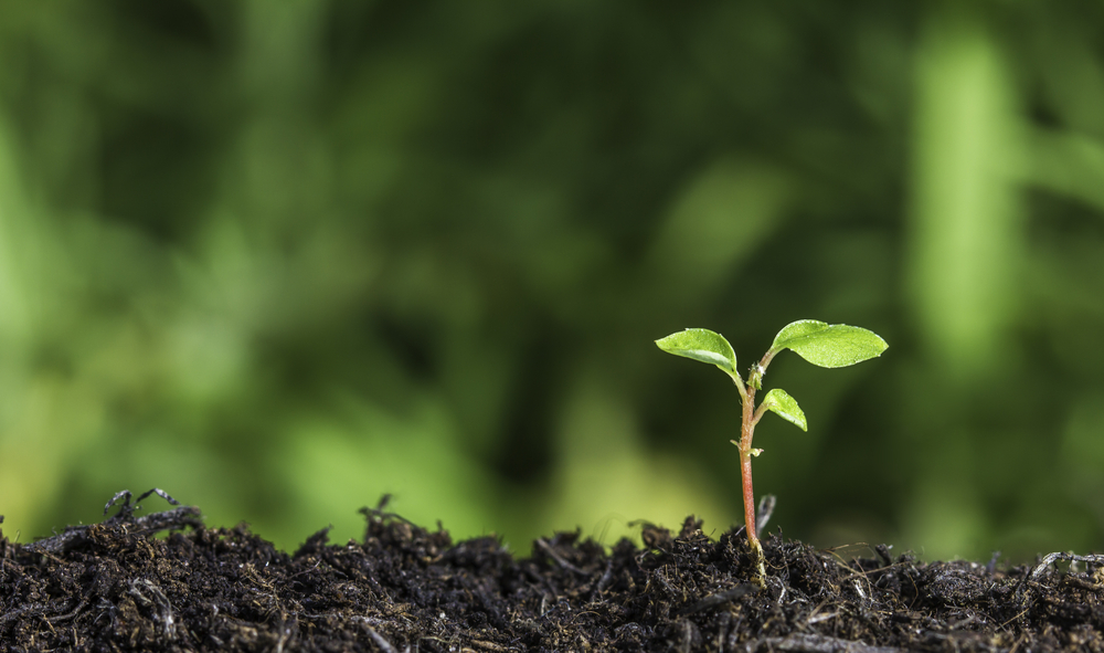 3 Ways To Find Startup Investment