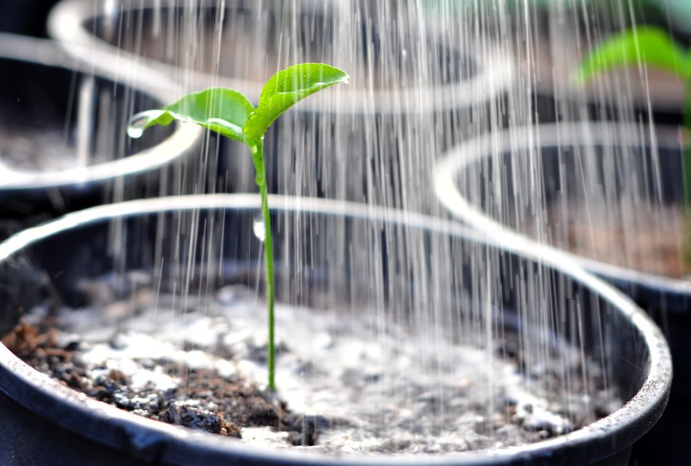 Funding and Loans That Target Women-Owned Businesses