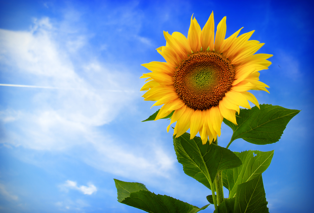 5 Easy Ways to Growth Hack